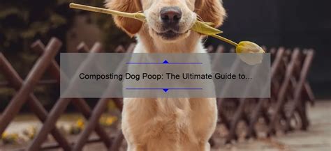 dog feces as fertilizer|Dog Poop Compost: A Guide to Turning Waste into Fertilizer.